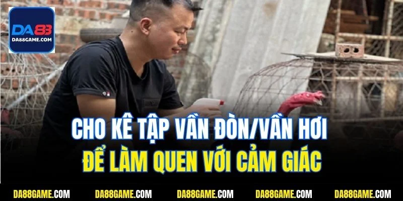 Cho kê tập vần đòn/vần hơi để làm quen với cảm giác