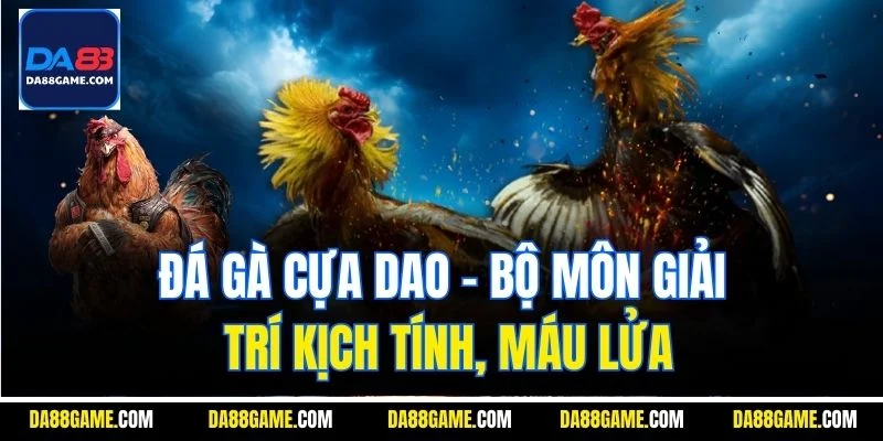 Đá gà cựa dao - Bộ môn giải trí kịch tính, máu lửa