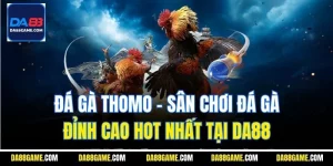 Đá Gà Thomo - Sân Chơi Đá Gà Đỉnh Cao Hot Nhất Tại Da88