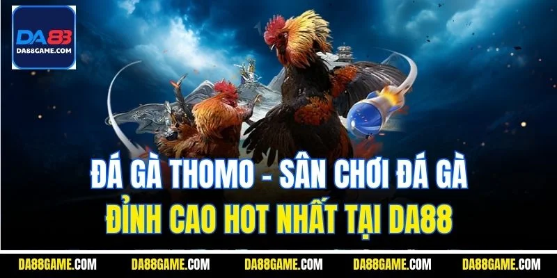 Đá Gà Thomo - Sân Chơi Đá Gà Đỉnh Cao Hot Nhất Tại Da88