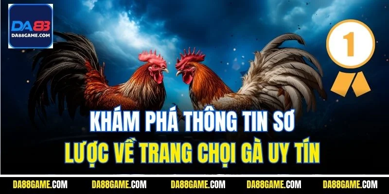 Khám phá thông tin sơ lược về trang chọi gà uy tín