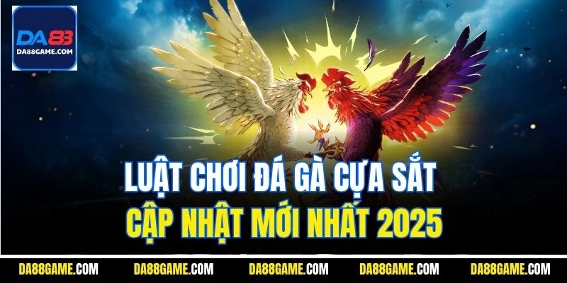 Luật chơi đá gà cựa sắt cập nhật mới nhất 2025