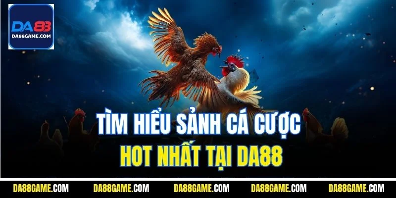 Tìm hiểu sảnh cá cược hot nhất tại Da88